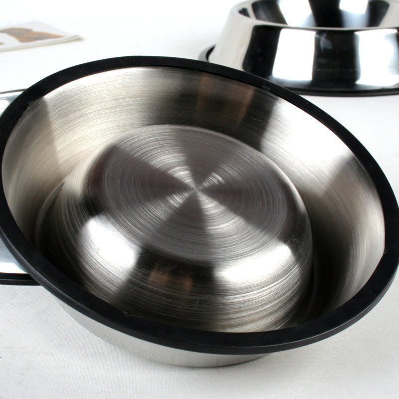 Dog Bowl