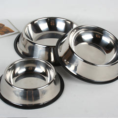 Dog Bowl