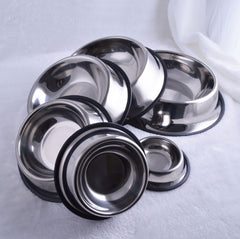 Dog Bowl