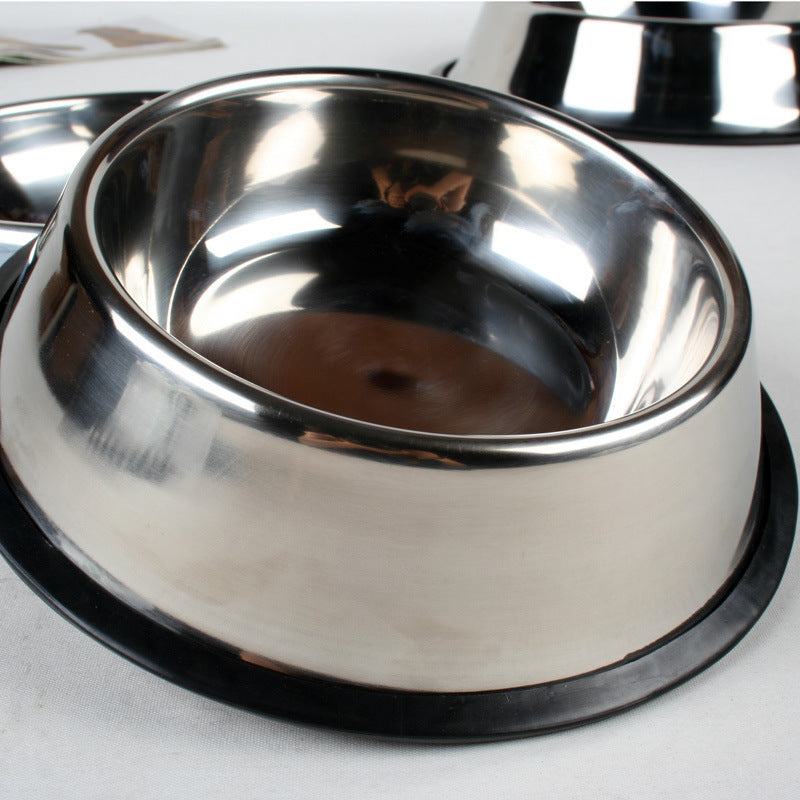Dog Bowl